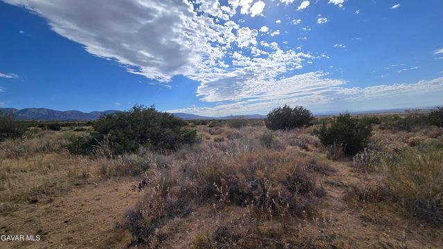 Vicinity Ave X13 & 189th St E, Llano, CA 93544