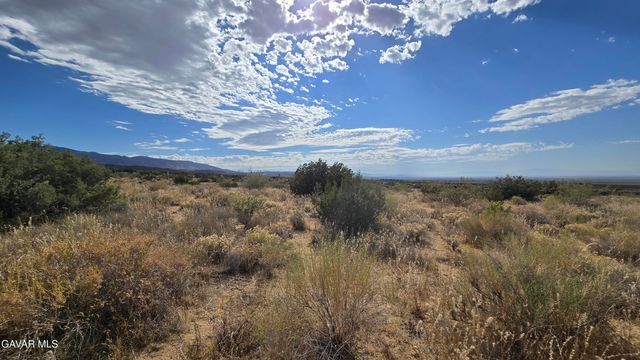 Vicinity Ave X13 & 189th St E, Llano, CA 93544