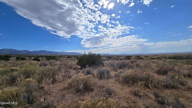 Vicinity Ave X13 & 189th St E, Llano, CA 93544