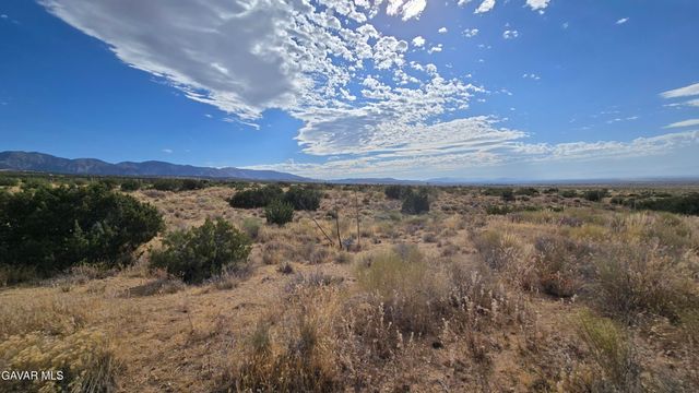 Vicinity Ave X13 & 189th St E, Llano, CA 93544