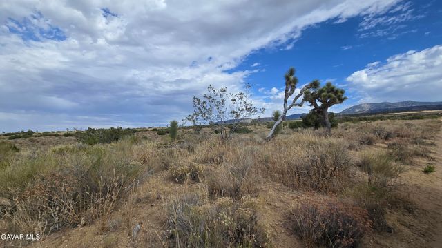 Vicinity Ave X13 & 189th St E, Llano, CA 93544