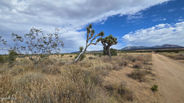 Vicinity Ave X13 & 189th St E, Llano, CA 93544