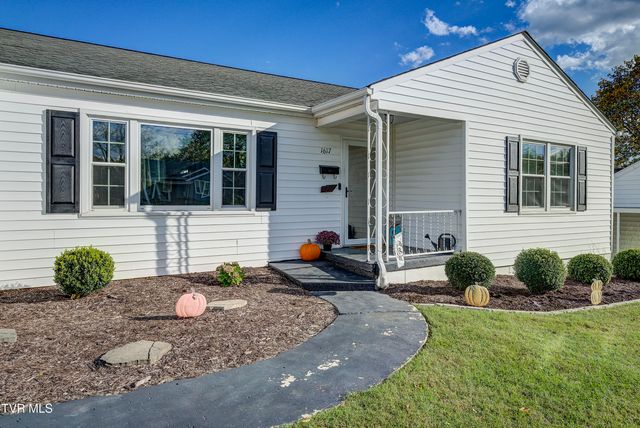1617 Tremont Avenue, Bristol, TN 37620