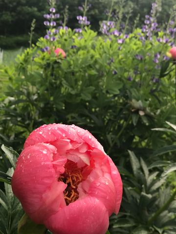 157 Mehuron Drive, Waitsfield, VT 05673