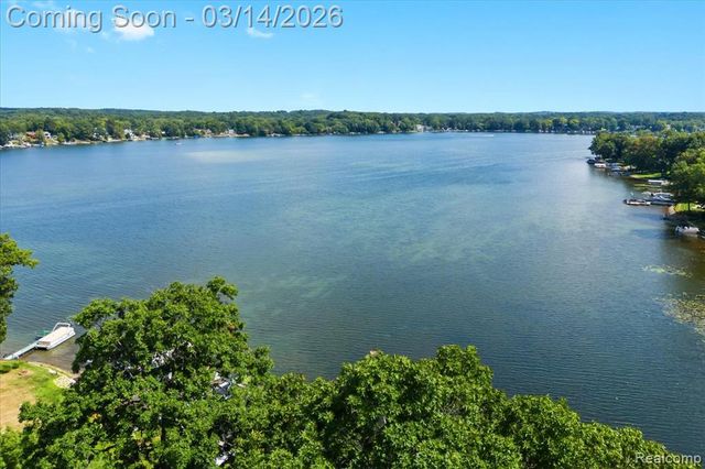 978 Ridge Court, Chelsea, MI 48118