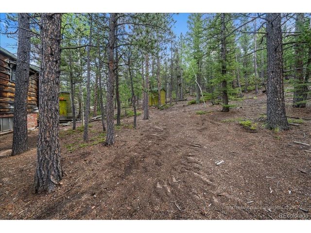 177 Sutherland Rd, Allenspark, CO 80510