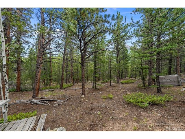 177 Sutherland Rd, Allenspark, CO 80510