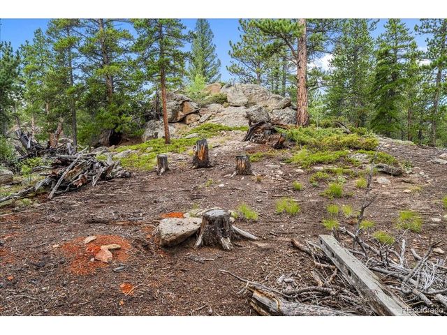 177 Sutherland Rd, Allenspark, CO 80510