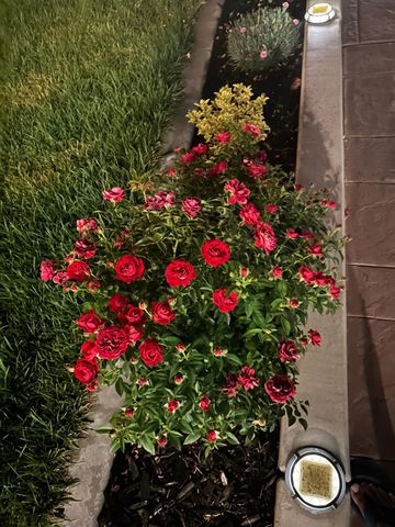 3281 Garden Terrace Dr, Folsom, CA 95630