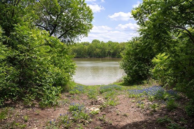 9509 Valley View Trail, Rio Vista, TX 76093