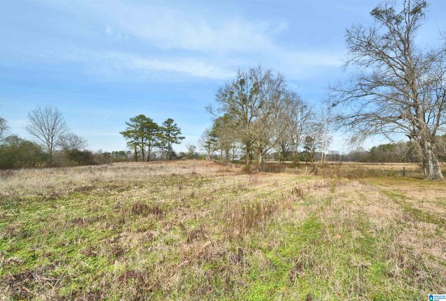 104 BURNS LANE, Harpersville, AL 35078