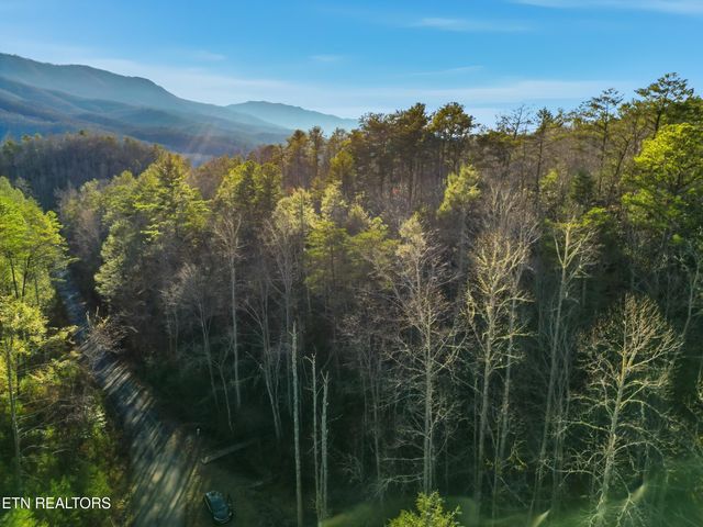 1R-1 Branam Hollow Rd, Gatlinburg, TN 37738