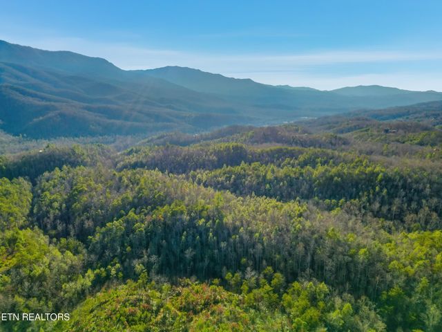 1R-1 Branam Hollow Rd, Gatlinburg, TN 37738