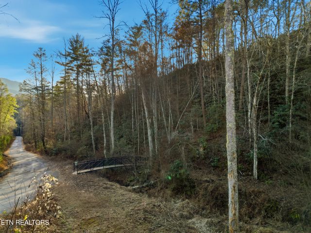 1R-1 Branam Hollow Rd, Gatlinburg, TN 37738