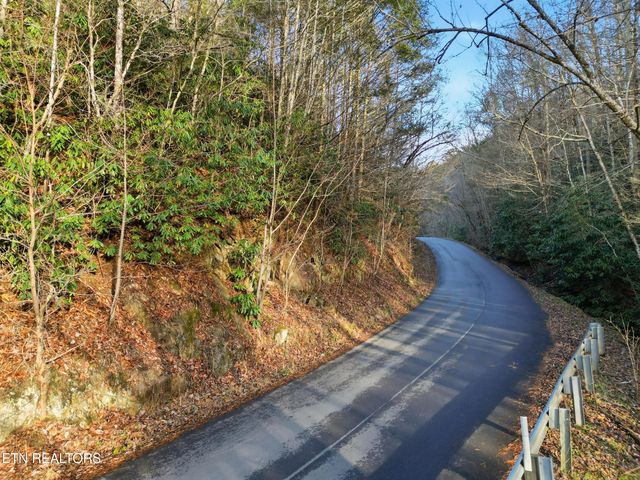 1R-1 Branam Hollow Rd, Gatlinburg, TN 37738