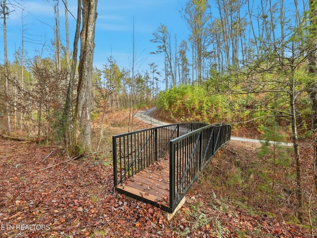 1R-1 Branam Hollow Rd, Gatlinburg, TN 37738