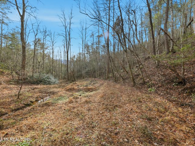 1R-1 Branam Hollow Rd, Gatlinburg, TN 37738