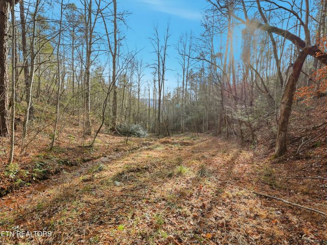 1R-1 Branam Hollow Rd, Gatlinburg, TN 37738