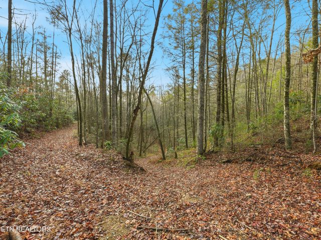 1R-1 Branam Hollow Rd, Gatlinburg, TN 37738