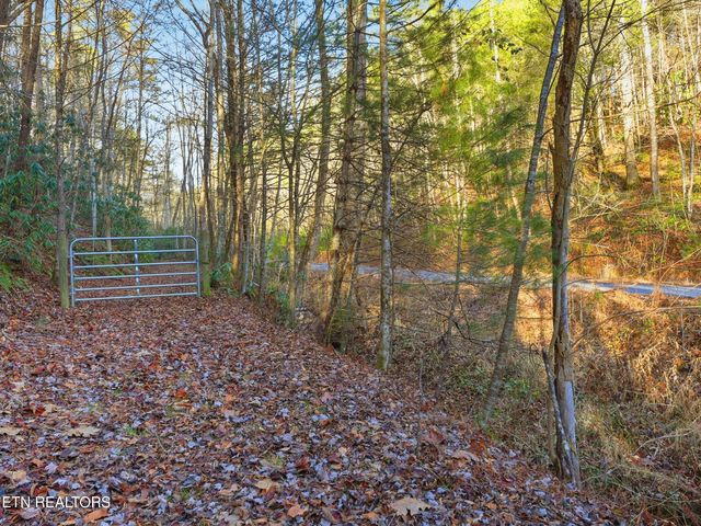 1R-1 Branam Hollow Rd, Gatlinburg, TN 37738