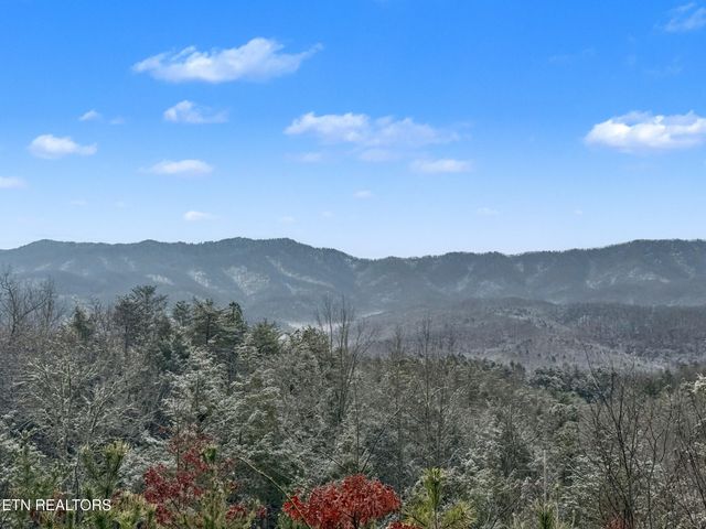 1R-1 Branam Hollow Rd, Gatlinburg, TN 37738