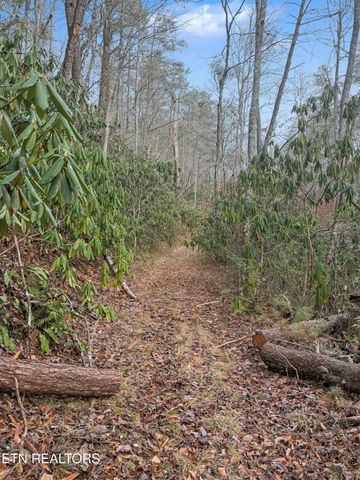 1R-1 Branam Hollow Rd, Gatlinburg, TN 37738