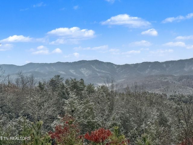 1R-1 Branam Hollow Rd, Gatlinburg, TN 37738