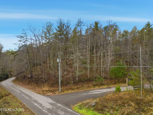 1R-1 Branam Hollow Rd, Gatlinburg, TN 37738