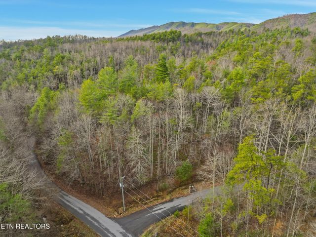 1R-1 Branam Hollow Rd, Gatlinburg, TN 37738