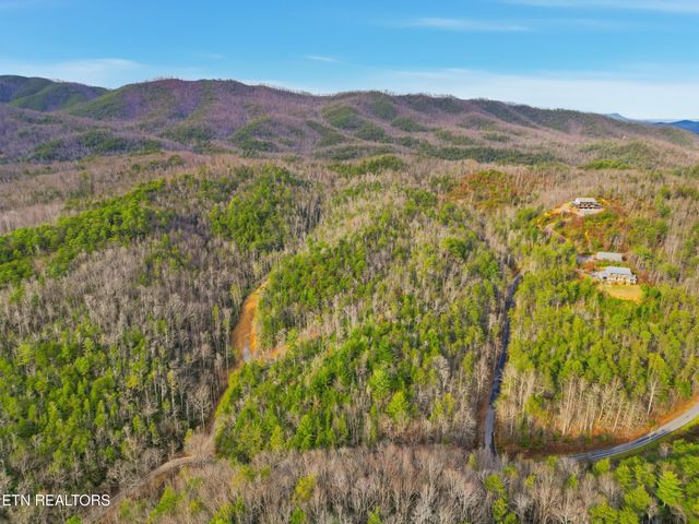 1R-1 Branam Hollow Rd, Gatlinburg, TN 37738