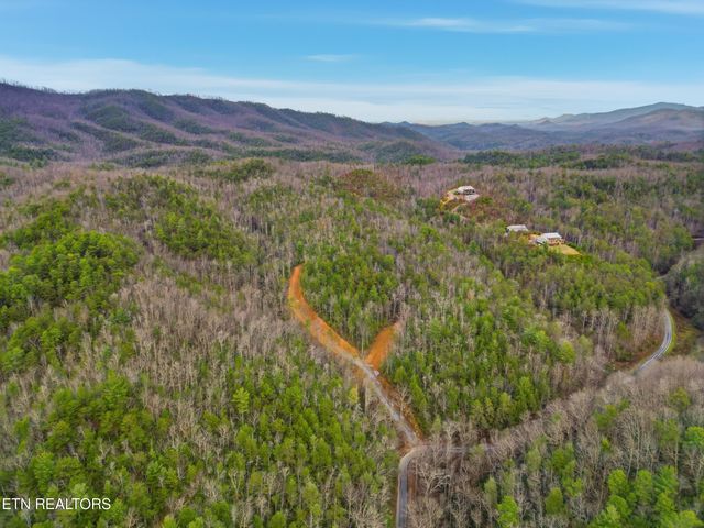 1R-1 Branam Hollow Rd, Gatlinburg, TN 37738