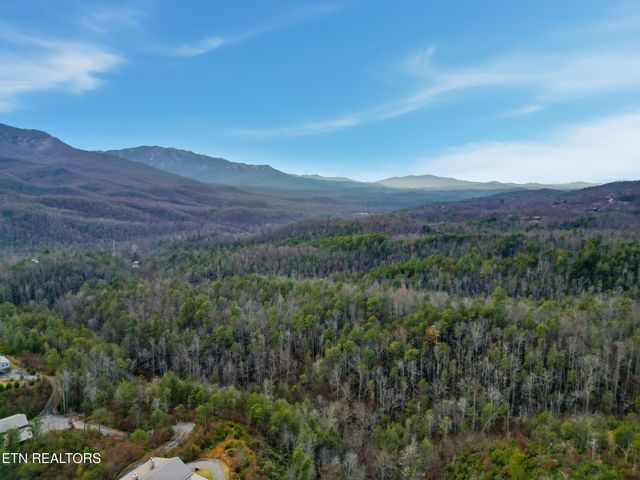 1R-1 Branam Hollow Rd, Gatlinburg, TN 37738