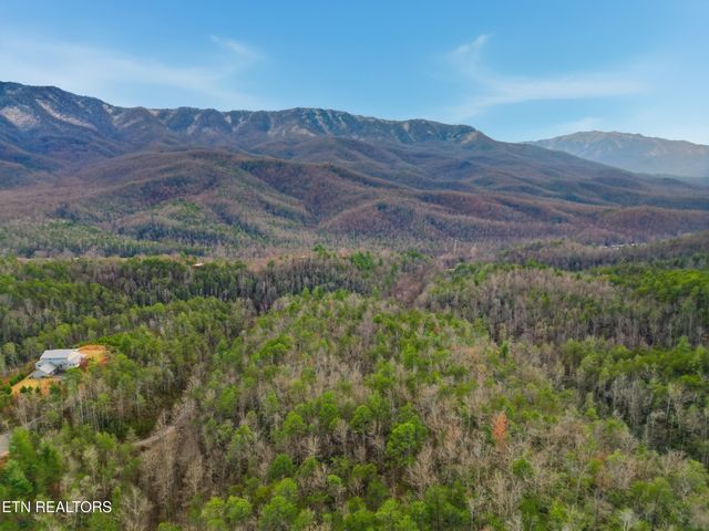 1R-1 Branam Hollow Rd, Gatlinburg, TN 37738