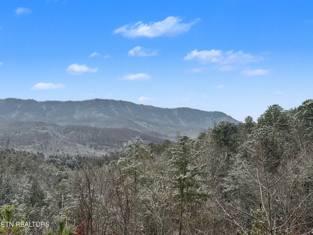 1R-1 Branam Hollow Rd, Gatlinburg, TN 37738