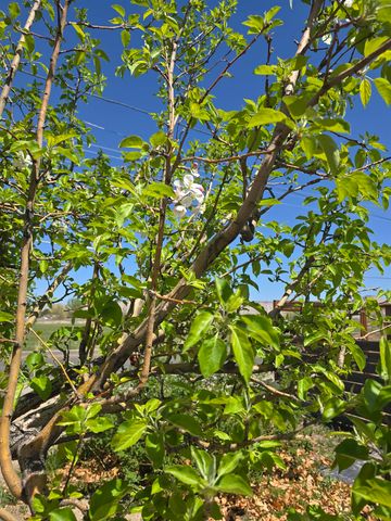 3055 E Road, Grand Junction, CO 81504