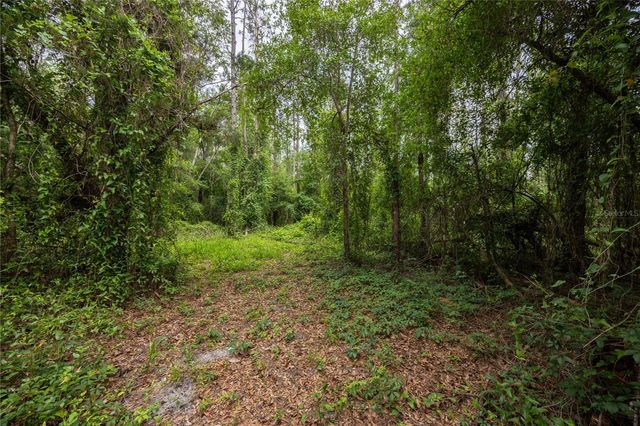 229 SW BARWICK TERRACE, Lake City, FL 32024