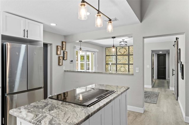 520 LAKE MAGGIORE BOULEVARD S, St Petersburg, FL 33705