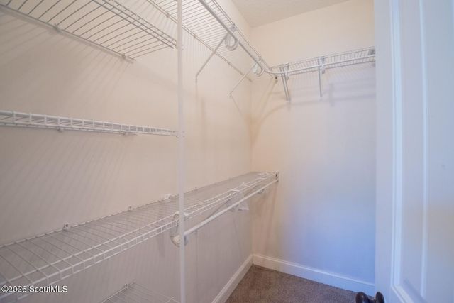 1038 Sand Dollar Way, Brunswick, GA 31523