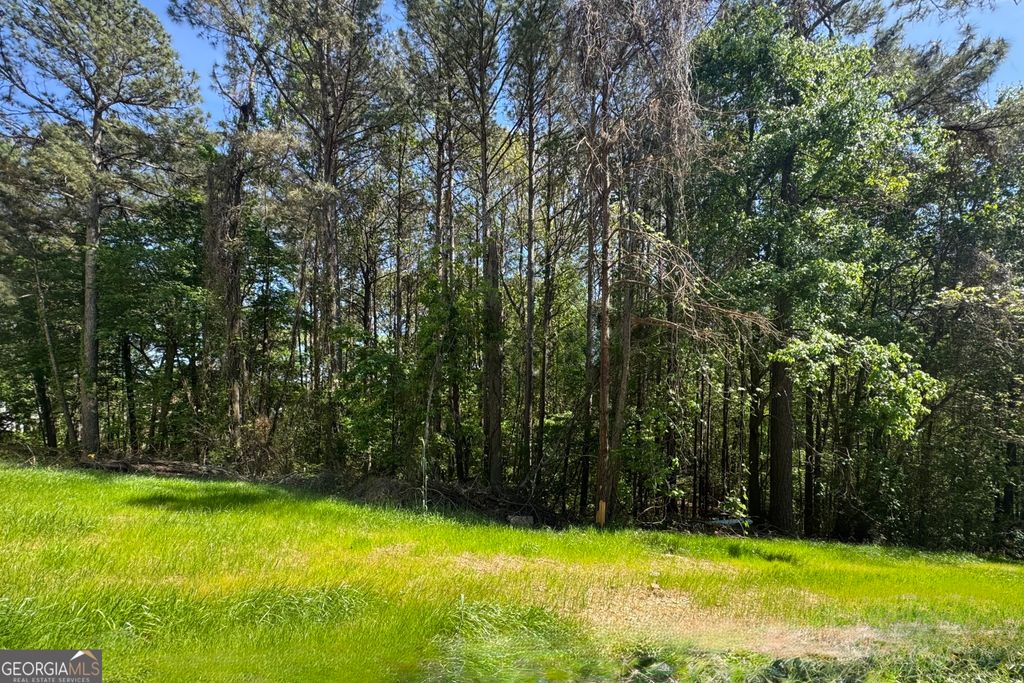 139 Constitution Pointe, Dallas, GA 30132