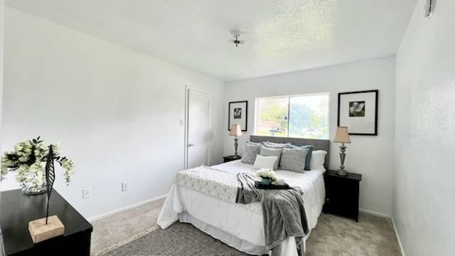 1803 Ripple Creek Drive, Missouri City, TX 77489