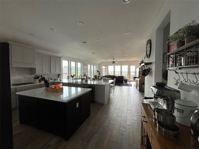 145 Cyrus Milton Dr, Buda, TX 78610