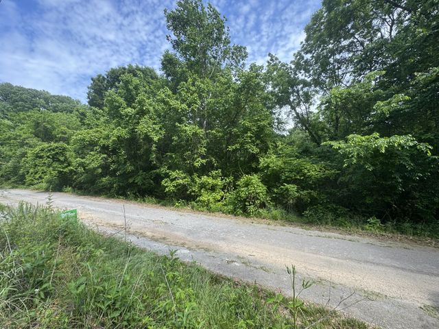0 Park Dr, Silver Point, TN 38582