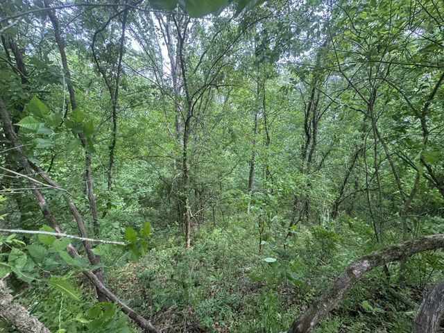 0 Park Dr, Silver Point, TN 38582