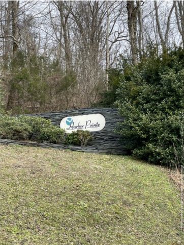 0 Park Dr, Silver Point, TN 38582