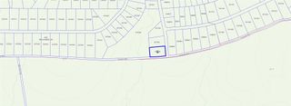 15211 Rubicon Road, Willis, TX 77378