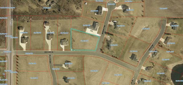 1017 Birch Avenue NE, Montgomery, MN 56069