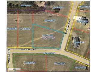 1017 Birch Avenue NE, Montgomery, MN 56069
