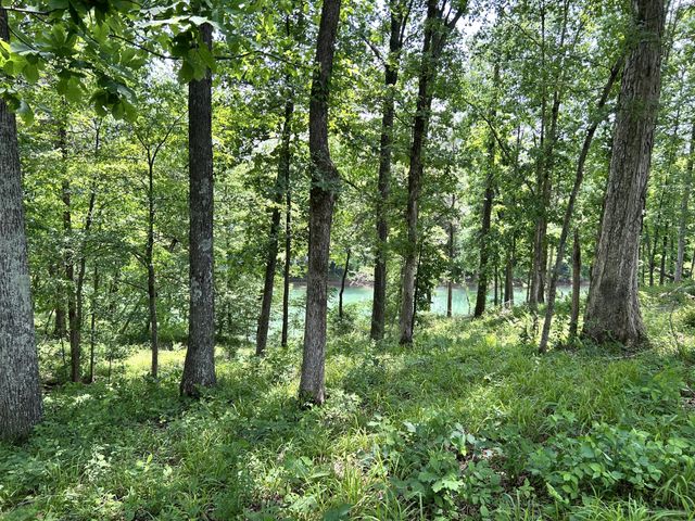 0 Anchor Bend Dr, Rock Island, TN 38581