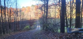 0 Reed Rd, Mayport, PA 16240