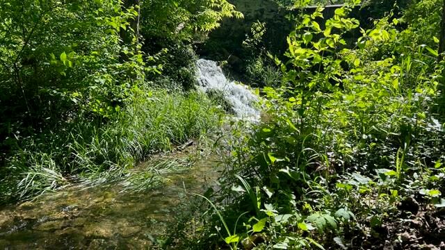 1100 E Robertson Street, Ozark, MO 65721